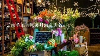 云南手工皂张馨月淘宝店名