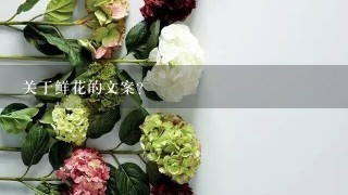 关于鲜花的文案？