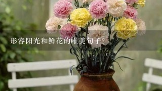 形容阳光和鲜花的唯美句子？