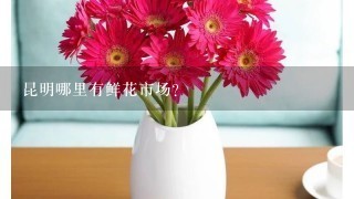 昆明哪里有鲜花市场？