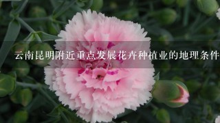 云南昆明附近重点发展花卉种植业的地理条件