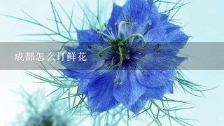 成都怎么订鲜花