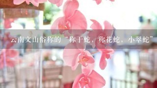 云南文山俗称的“称干蛇，称花蛇，小翠蛇”这么多名