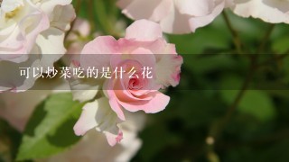 可以炒菜吃的是什么花