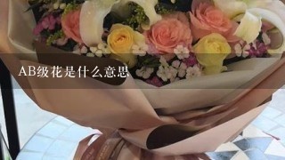 AB级花是什么意思