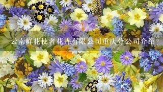 云南鲜花使者花卉有限公司重庆分公司介绍？