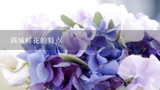 满城鲜花的特点