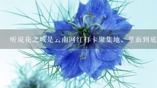 听说花之城是云南网红打卡聚集地，里面到底有什么好