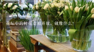 花坛中的鲜花竞相开放，就像什么？