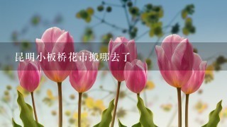 昆明小板桥花市搬哪去了