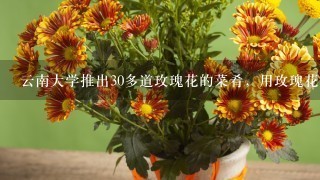 云南大学推出30多道玫瑰花的菜肴，用玫瑰花能做哪些