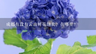 成都有没有云南鲜花饼卖？在哪里？