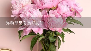 弥勒那里有卖鲜花饼