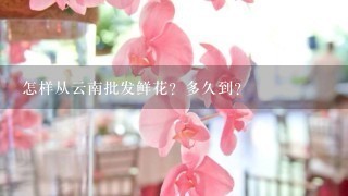 怎样从云南批发鲜花？多久到？