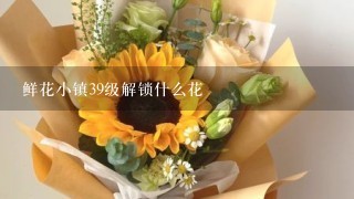 鲜花小镇39级解锁什么花