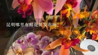 昆明哪里有鲜花批发市场?