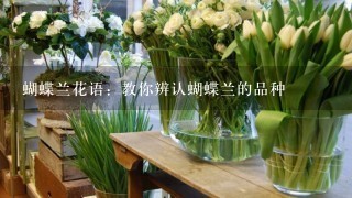 蝴蝶兰花语：教你辨认蝴蝶兰的品种