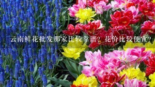 云南鲜花批发那家比较靠谱？花价比较便宜？而且服务