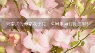 云南买的勿忘我干花，买回来如何保养啊？