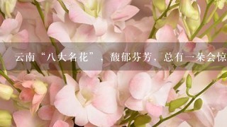 云南“八大名花”，馥郁芬芳，总有一朵会惊艳到你