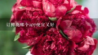 订鲜花哪个app便宜又好