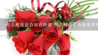 什么鲜花适合放在卧室 什么鲜花养在卧室里好