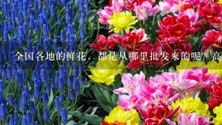 全国各地的鲜花，都是从哪里批发来的呢？高档花卉，进口花，进花渠道在哪里。