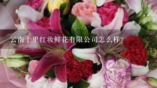 云南十里红妆鲜花有限公司怎么样？