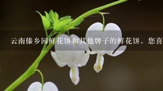 云南傣乡园鲜花饼和其他牌子的鲜花饼，您喜欢哪一个？