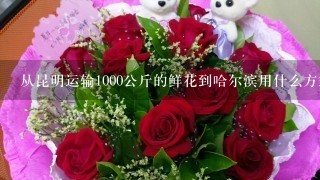 从昆明运输1000公斤的鲜花到哈尔滨用什么方式最合理