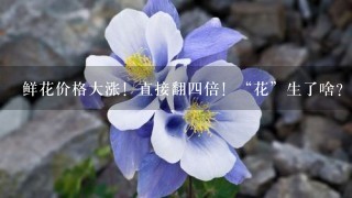 鲜花价格大涨！直接翻四倍！“花”生了啥？