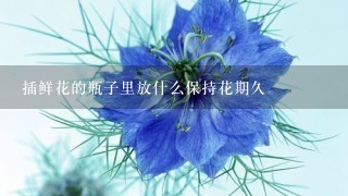 插鲜花的瓶子里放什么保持花期久