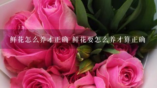 鲜花怎么养才正确 鲜花要怎么养才算正确