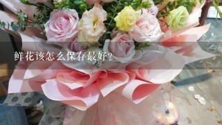 鲜花该怎么保存最好?