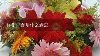 鲜花盲盒是什么意思