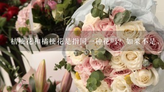 桔梗花和橘梗花是指同一种花吗？如果不是，花语指永