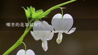 哪里的花架最好？