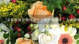 7朵花成员分别代表什么花？谢谢了，大神帮忙啊