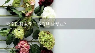 云南医科大学二本有哪些专业？