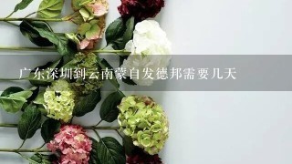 广东深圳到云南蒙自发德邦需要几天