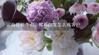 云南昆明斗南，鲜花批发怎么找客户