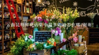 云南昆明鲜花店集中最多的地方在哪?谢谢!