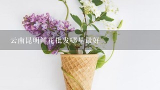 云南昆明鲜花批发哪里最好