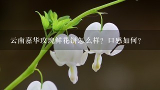 云南嘉华玫瑰鲜花饼怎么样？口感如何？