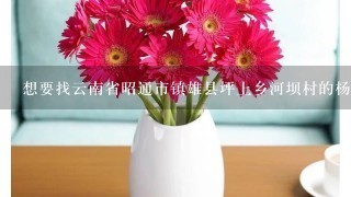 想要找云南省昭通市镇雄县坪上乡河坝村的杨宗洪能找到吗大神们帮帮忙