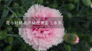 花小好鲜花洋桔梗要怎么水养？