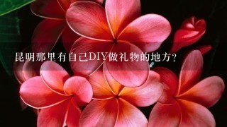 昆明那里有自己DIY做礼物的地方？