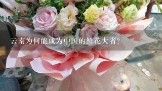 云南为何能成为中国的鲜花大省？