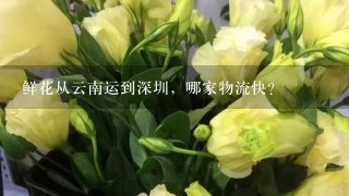 鲜花从云南运到深圳，哪家物流快？