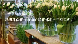 昆明斗南花卉市场的鲜花都来自于哪里呢？